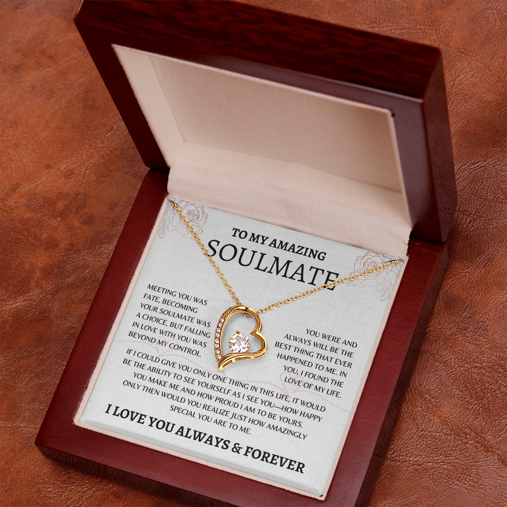 To My Amazing Soulmate | Love of My Life - Forever Love Necklace