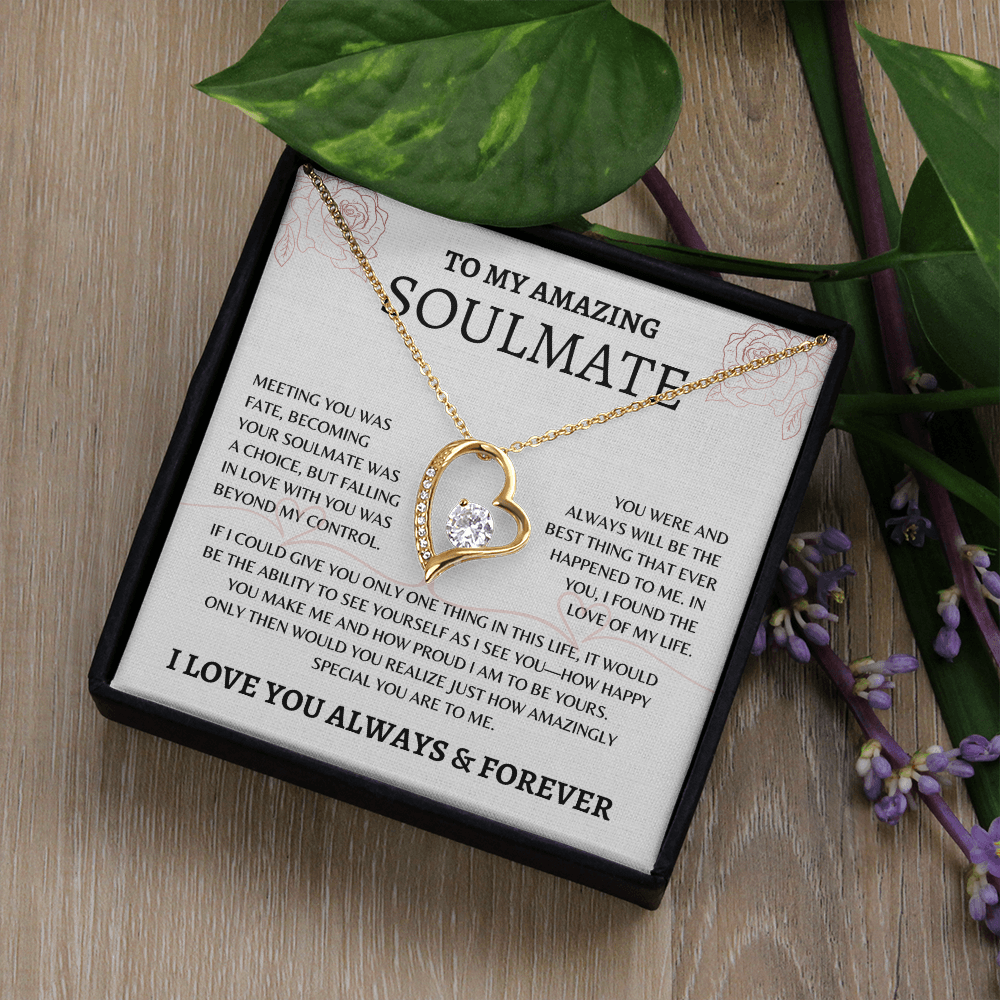 To My Amazing Soulmate | Love of My Life - Forever Love Necklace
