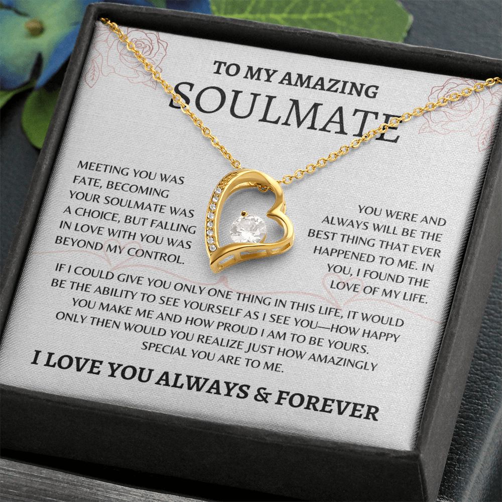 To My Amazing Soulmate | Love of My Life - Forever Love Necklace