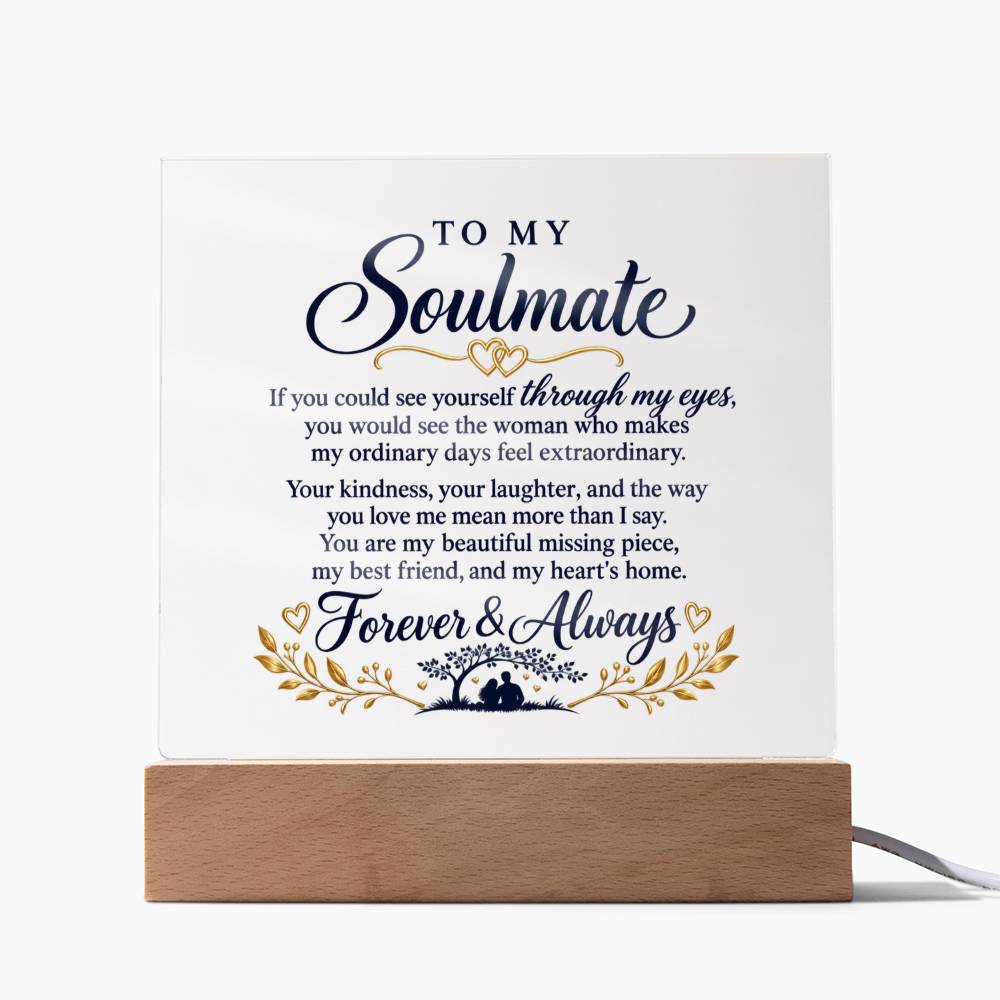 Through My Eyes | Acrylic Plaque