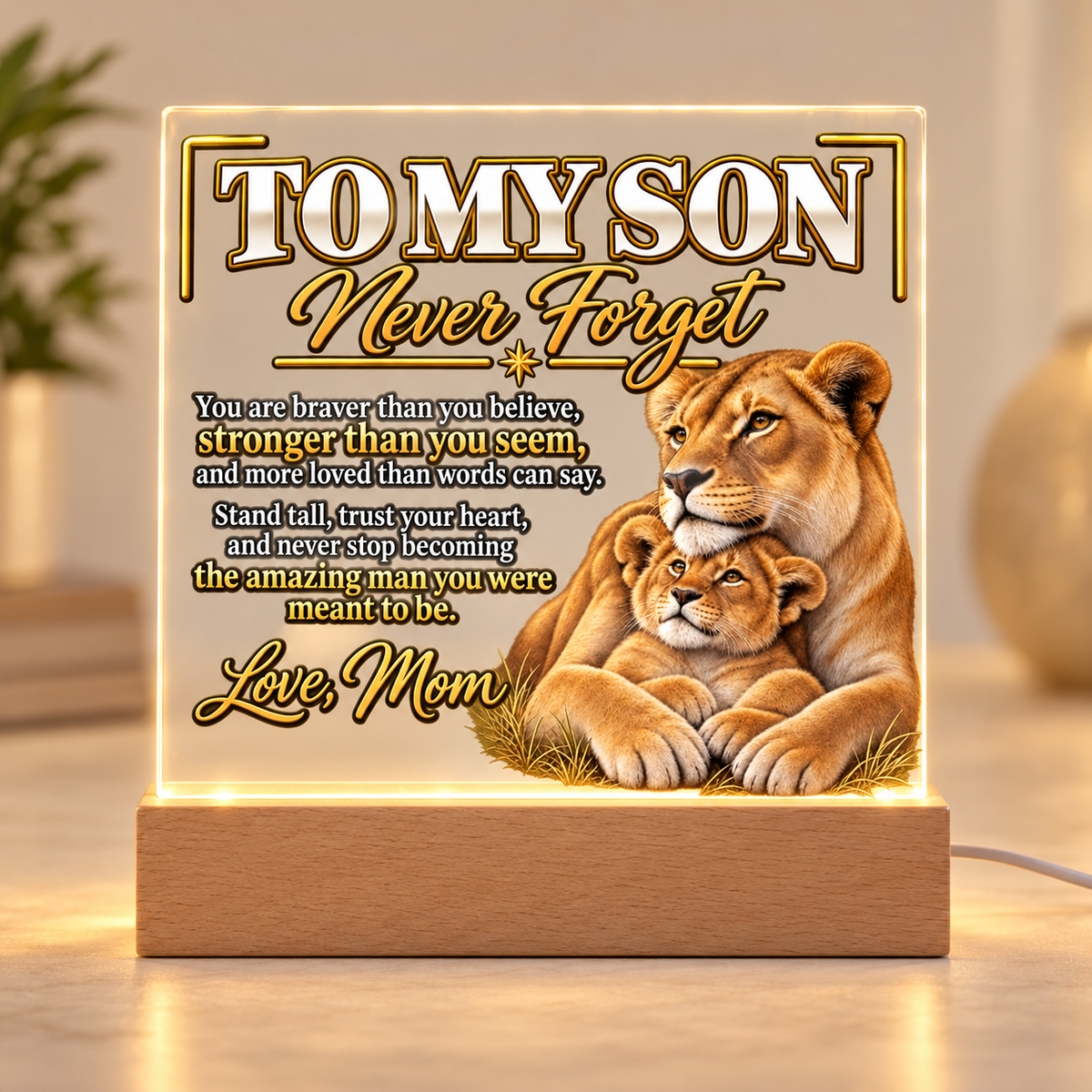 To My Son “Never Forget” LED Acrylic Plaque – Meaningful Gift From Mom