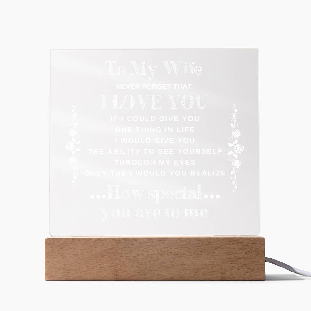 To My Wife | Never Forget that I Love You - Acrylic Plaque