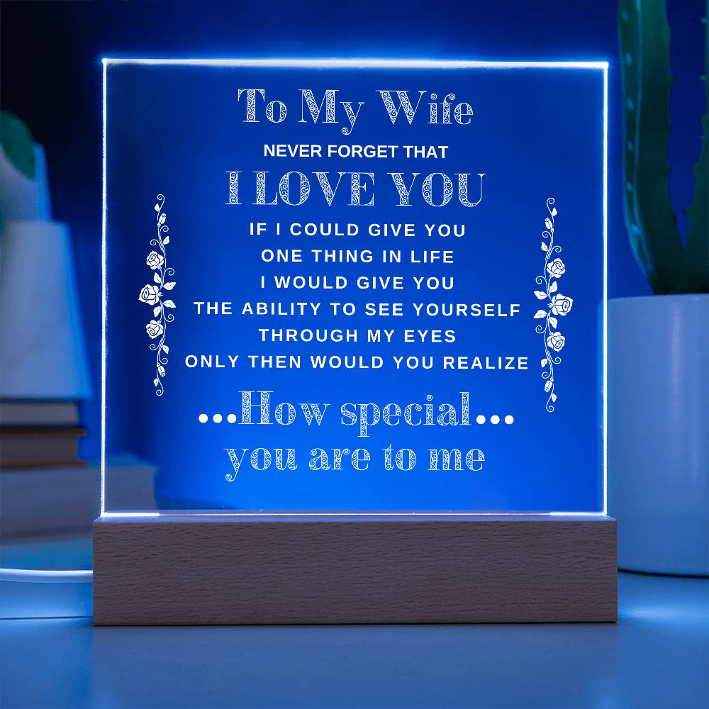 To My Wife | Never Forget that I Love You - Acrylic Plaque