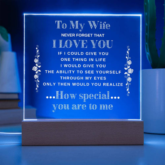 To My Wife | Never Forget that I Love You - Acrylic Plaque