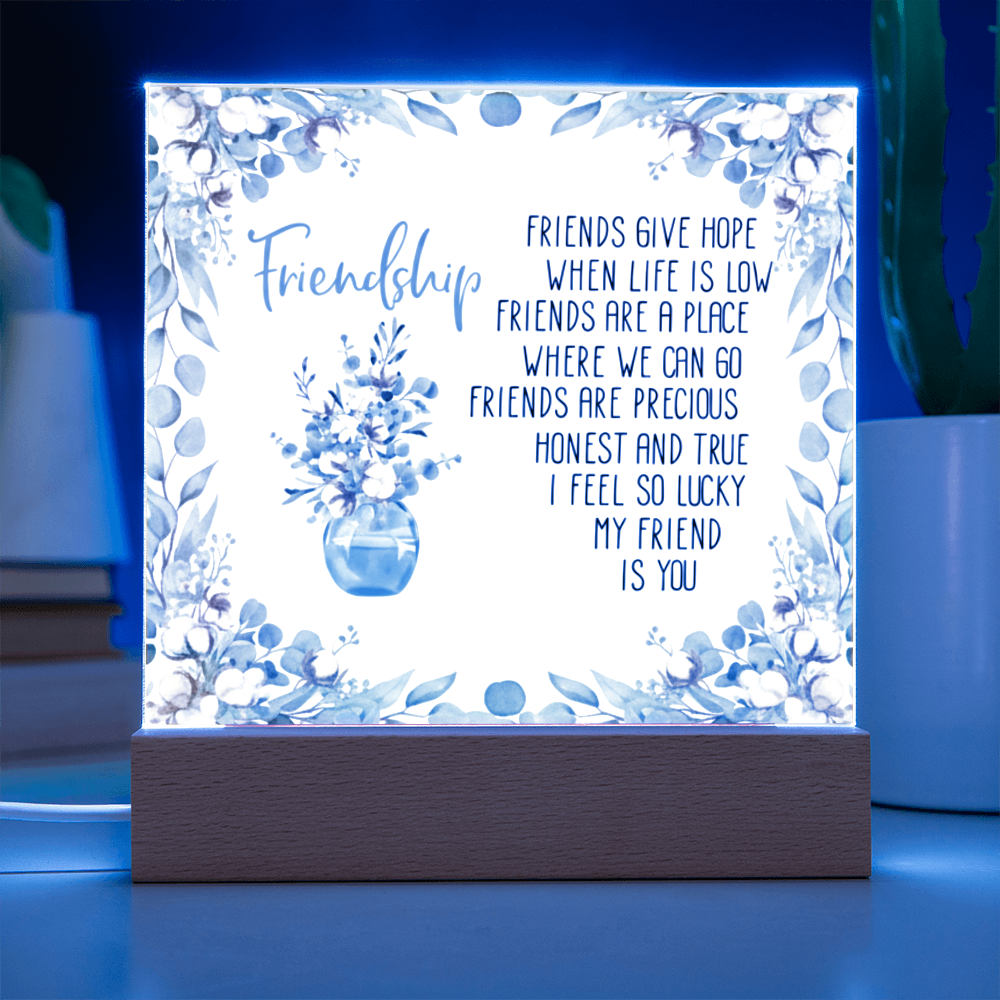 Friendship Gift Acrylic Plaque - Personalized Best Friend Keepsake