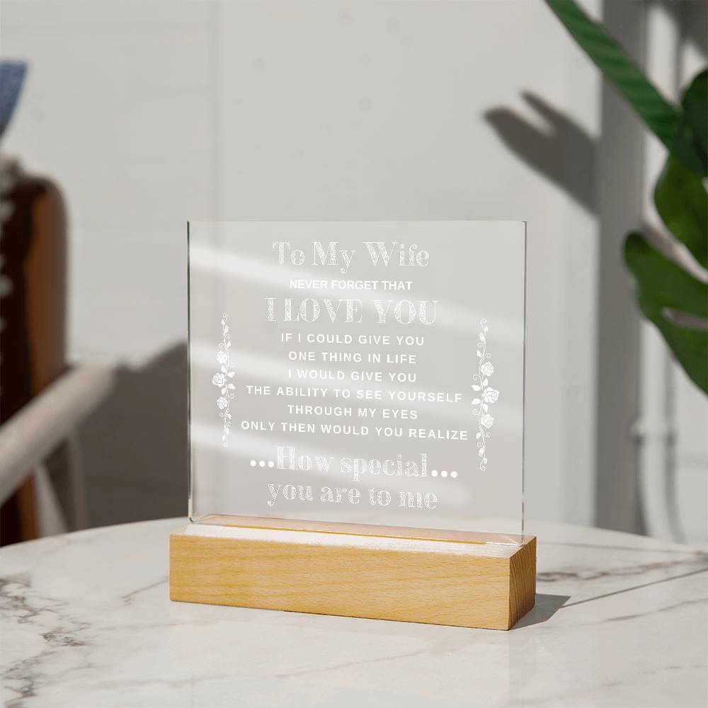 To My Wife | Never Forget that I Love You - Acrylic Plaque