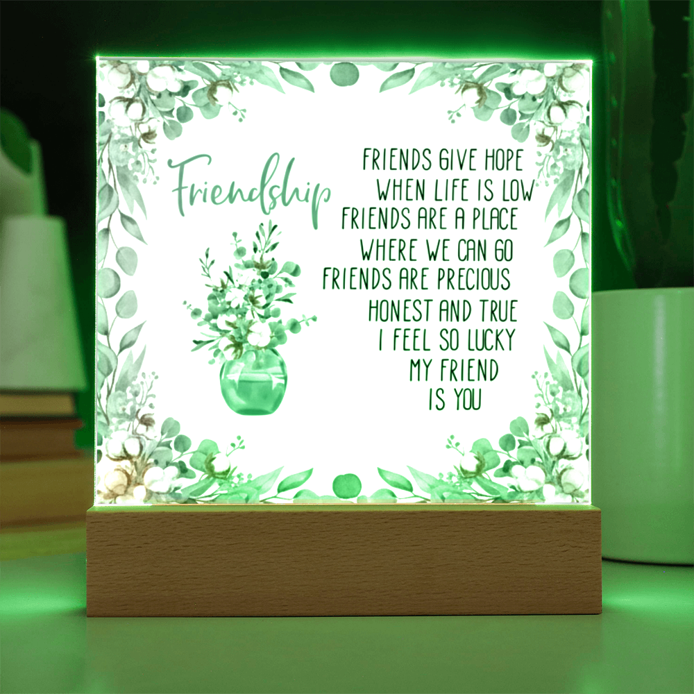 Friendship Gift Acrylic Plaque - Personalized Best Friend Keepsake