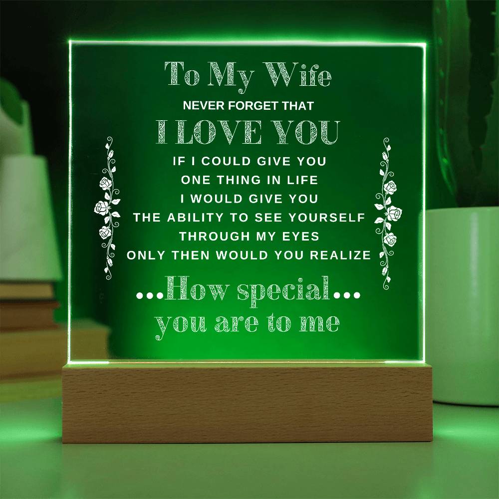 To My Wife | Never Forget that I Love You - Acrylic Plaque