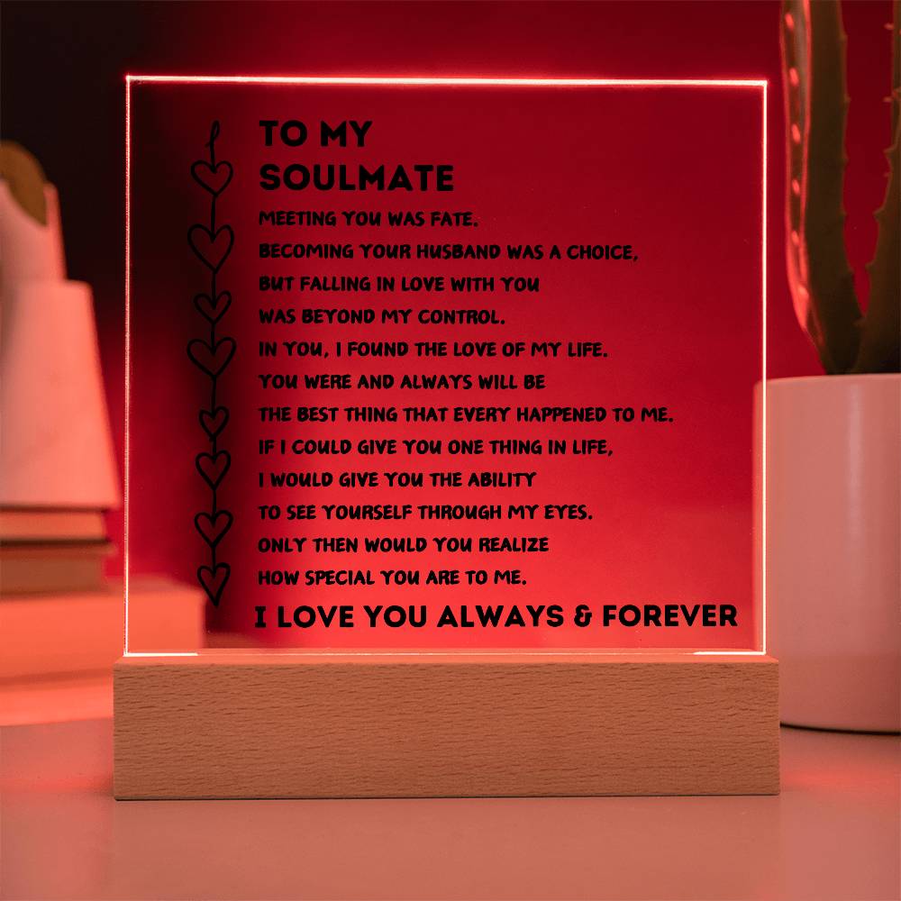 To My Soulmate "Meeting You Was Fate" - Acrylic Plaque