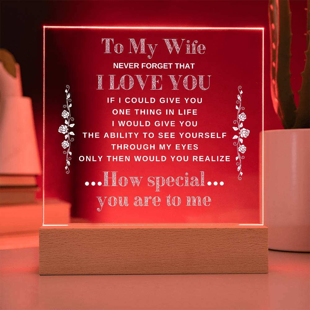 To My Wife | Never Forget that I Love You - Acrylic Plaque