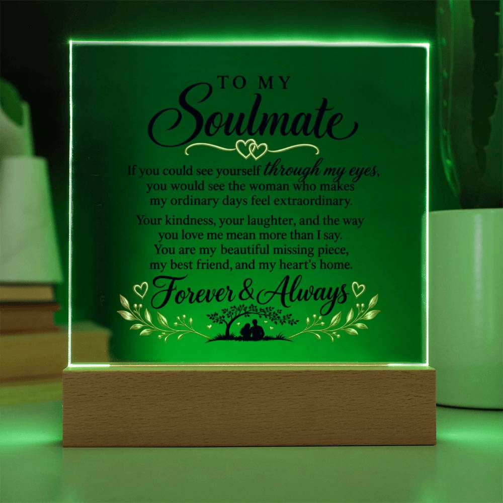 Through My Eyes | Acrylic Plaque
